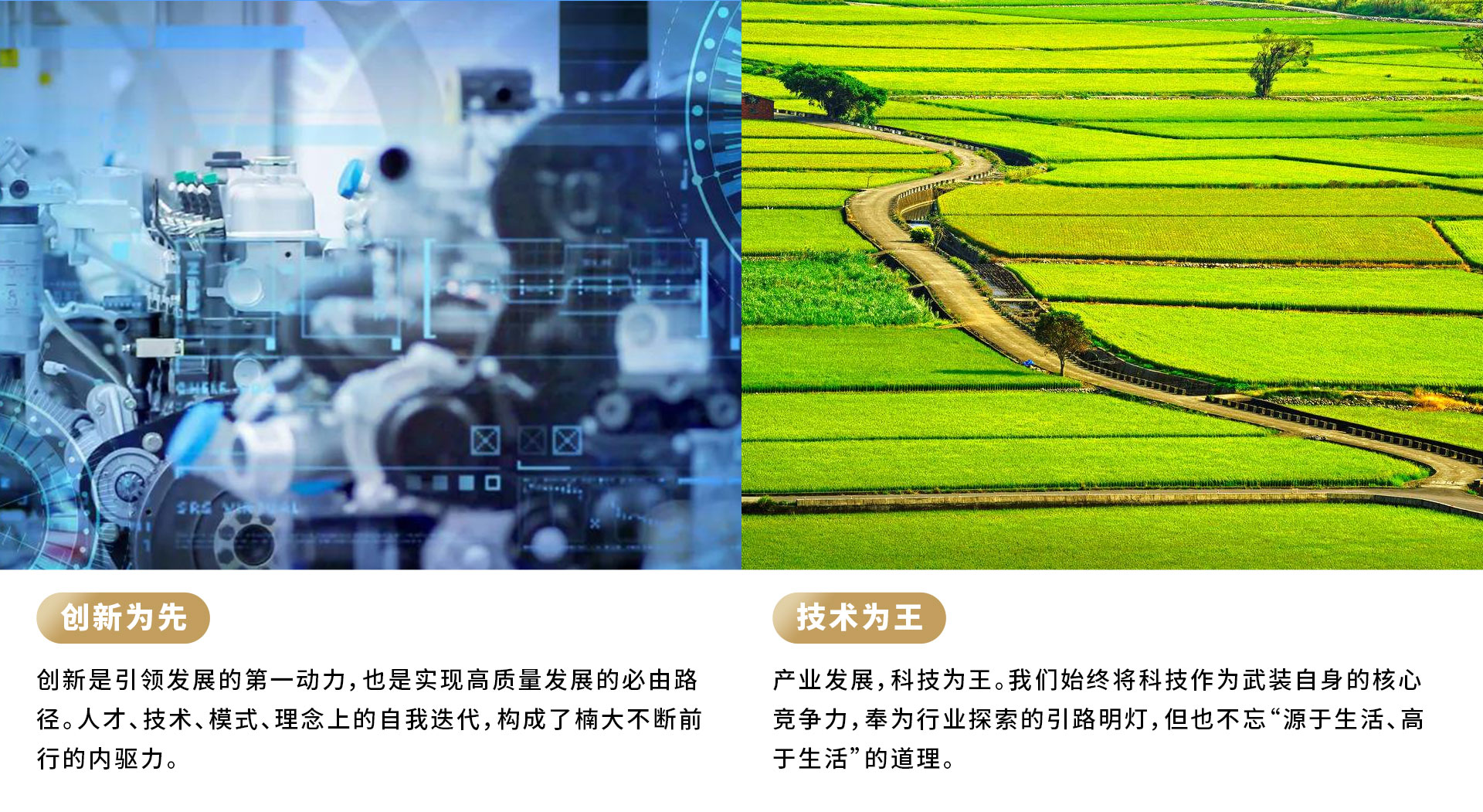 &#39318;&#39029;&#95;&#74;&#68;&#66;&#40;&#20013;&#22269;&#41;&#30005;&#23376;&#95;&#23448;&#26041;&#32593;&#31449;